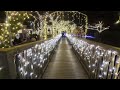 帰り道【湘南の宝石2024 2025】江の島を彩る光と色の祭典 enoshima illumination 2025.1.18 illumination chrismas