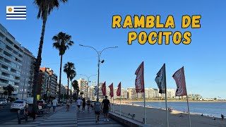 [4K] 🇺🇾 Montevideo, Uruguay | Caminata al atardecer por la Rambla de Pocitos🌴🏖️🌊 | Walking Tour