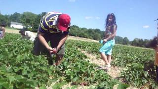 M4H06009.MP4