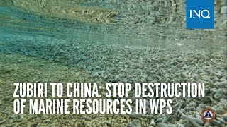 Zubiri to China: Stop destruction of marine resources in WPS