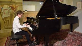 Jošt Vidergar ( 9th Piano Competition Online), IV Cat