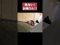 始発前の池袋駅ヤバすぎｗｗ　#shorts