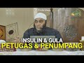 INSULIN & GULA - PETUGAS & PENUMPANG - dr. Zaidul Akbar Official