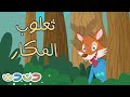 ثعلوب المكار والصيصان + مجموعة أغاني قناة دن دن للأطفال