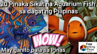 TOP 20 AMAZING OCEAN FISH NATIVE TO PHILIPPINES | Magandang isda sa dagat ng Pilipinas