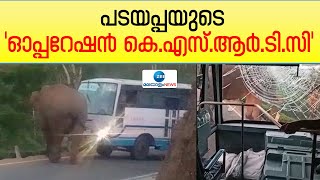 Padayappa | KSRTC | പടയപ്പയുടെ ‘ഓപ്പറേഷന്‍ കെ.എസ്.ആര്‍.ടി.സി’; വീണ്ടും ബസ് ആക്രമിച്ചു