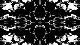 Symmetrical Black and White Fluid Morph 2 - 2 min Loop