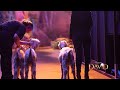 DAVID | Sheep Spotlight | Sight & Sound Theatres®