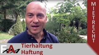 Haftung für Schäden durch Haustiere an der Mietwohnung bei unzulässiger Tierhaltung