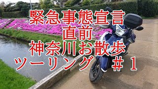 【リード125】緊急事態宣言直前神奈川お散歩ツーリング　＃１