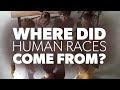 Where Did Human Races Come From?