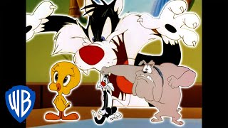 Looney Tunes | Catching Tweety | Classic Cartoon Compilation | WB Kids