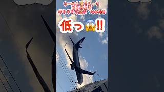 🟢まちなか低空飛行🛩️ANA‼️屋根の上ギリギリを飛ぶ😱‼️みんなで見よう🤗💙#エアライン #aviation #飛行機 #airplane #航空機 #ana #全日空 #shorts