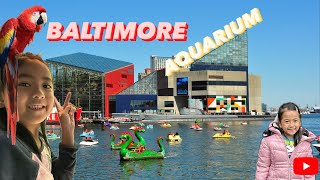 A trip to the Baltimore Aquarium (Maryland)