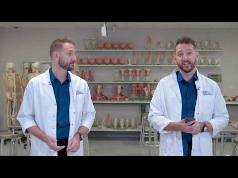 Do identical twins have the exact same fingerprints?