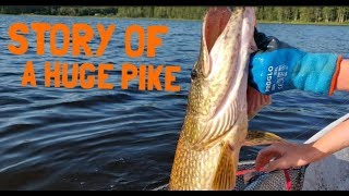 Story of a huge pike (English subtitles) / Tarina suuresta hauesta