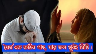 ধৈর্য কঠিন গাছ, যার ফল মিষ্টি । Successful Motivation