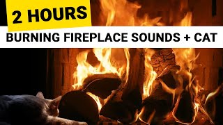 Relaxing Fireplace with cat purring and storm Sounds (2 Hours) 🎧 Stress relief, Sleep Relaxation