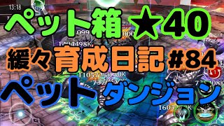 【育成アヴァベル】ペットダンジョン！ペットケース強化でステ上昇！