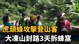 虎頭蜂攻擊登山客　大凍山封路3天拆蜂窩－民視新聞