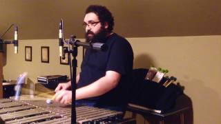 Bask in the Eclipse - Daniel & The Flyin' Lions (Vibraphone Jazz)