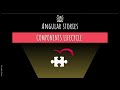 Understanding Angular Component Lifecycle Hooks: From Creation to Destruction  #angular