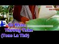 Karaoke Thương Thầm Nguyễn Kha