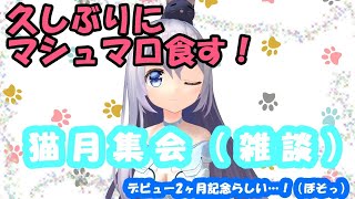 【雑談】マシュマロ食べるよ！コメント読むよ！【猫月みお/Vtuber】