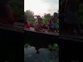 গ্রাম্যবধুর নৌকা চালানো 🛶🛶driving a boat shorts villagelife