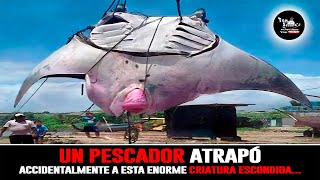 Un Pescador Atrapó Accidentalmente a esta Enorme Criatura Escondida...