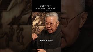 学习书法可以同时临好几种字帖吗