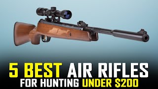5 Best Break Barrel Air Rifle for Hunting Under $200 (2021)