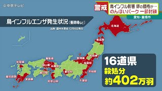 鳥インフルの影響で卵の価格が値上がり 年明けも高値が続くが可能性も…