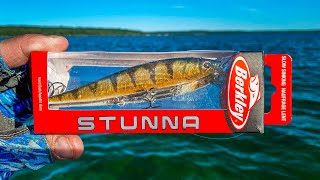 Fishing the NEW Berkley STUNNA Jerkbait for Smallmouth Bass