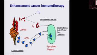 Cancer Immunotherapy: The End of the Beginning