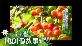 排灣聖山南國屋脊 咖啡紅果燦爛山林 part1【大武1001個故事】2014年