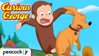 🎉 🚂 Surprise Birthday Party Gone Wrong | CURIOUS GEORGE
