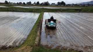 2014.5.10 田植え開始