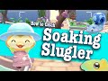 How to Catch the Soaking Slugler | Hello Kitty Island Adventure Rain Critter Guide