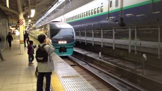 特急スーパービュー踊り子東京駅発車