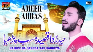 Haider Da Qaseda Sab Parheya | Ameer Abbas Ali | TP Manqabat
