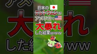 日本のテントウムシがアメリカで大暴れした結果【ずんだもん ゆっくり解説】#ずんだもん #ゆっくり解説 #生物