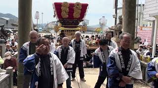 令和6年4月7日淡路島福良八幡神社⛩️春祭り、五分一町だんじり、だんじり唄「王将」