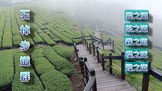 石棹步道群O型(雲之道+茶之道+霧之道+櫻之道+霞之道)