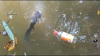 Hook Fishing By Plastic Bottle Fish Trap | Simple Fishing Technique