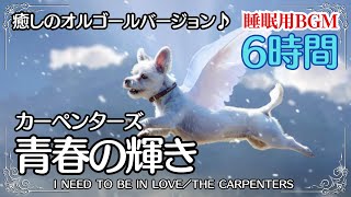 【癒しのオルゴール演奏(６時間ループ)】カーペンターズ「青春の輝き 」 I NEED TO BE IN LOVE／THE CARPENTERS、眠れる曲