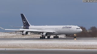 Toronto Canada 🇨🇦 RWY33L Lufthansa A340-300 ✈️ Second Flight To CYYZ #quadspecial #a340 #video