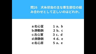 2021年度動物看護師統一試験　問２６　犬糸状虫