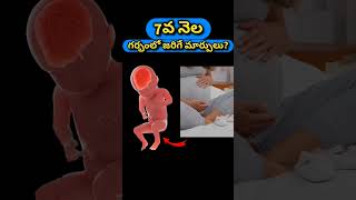 7వ నెల గర్భంలో జరిగే మార్పులు | 7 months pregnancy and baby growth