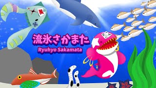 【2024年11月】第31回 振り返りラジオ【 #流氷ライブ 】